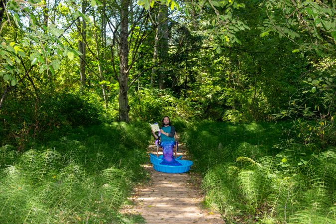 Mermaid Me Summer 2020 #1232<br>6,000 x 4,000<br>Published 6 years ago