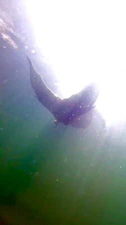 Mermaid Me Summer 2021 #1320<br>2,160 x 3,840<br>Published 5 years ago